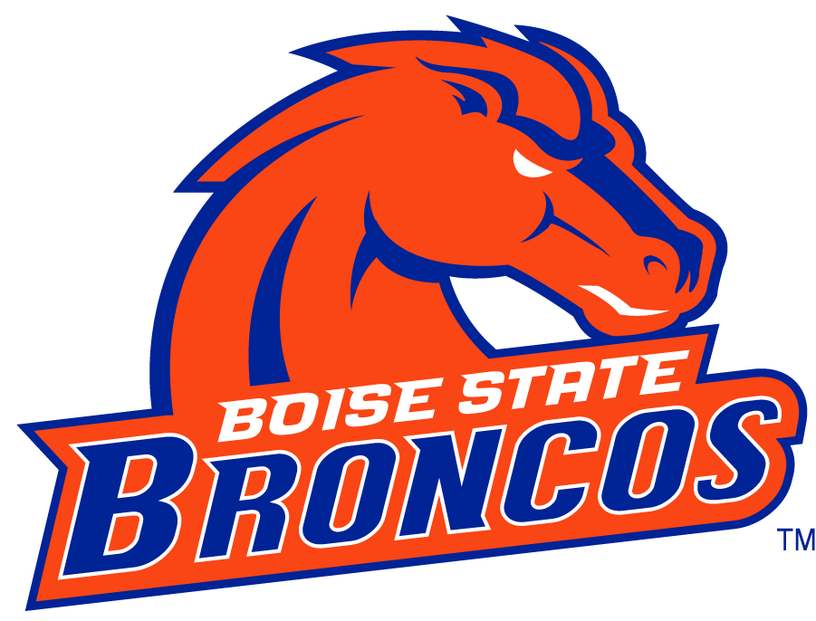 Boise State Broncos 2002-2012 Secondary Logo v27 t shirts iron on transfers